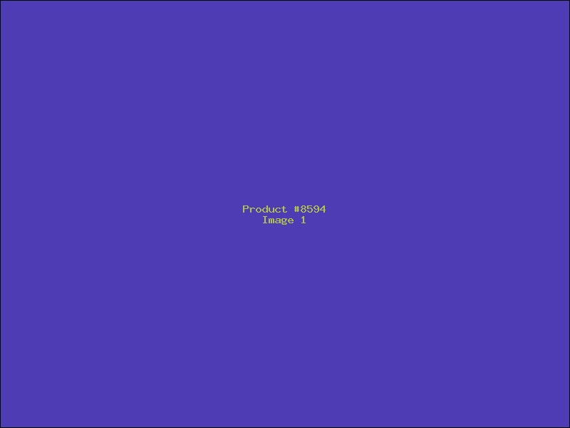Example Product 8594