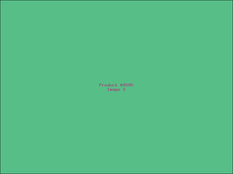 Example Product 8595 - Image 2