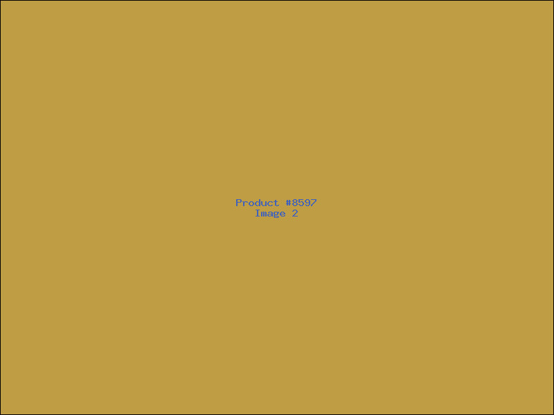 Example Product 8597 - Image 2