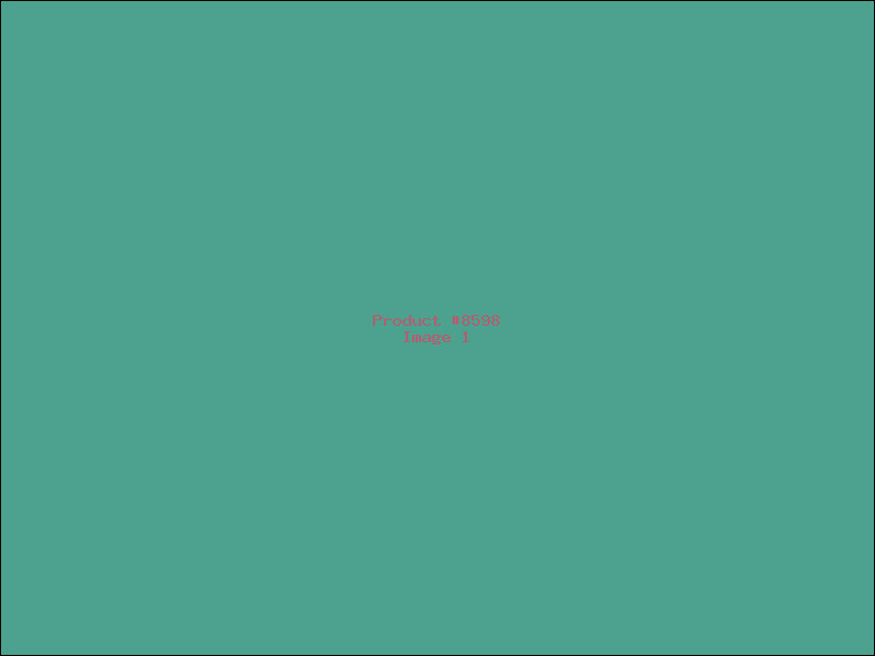 Example Product 8598