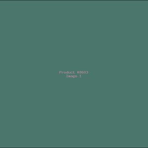 Example Product 8603