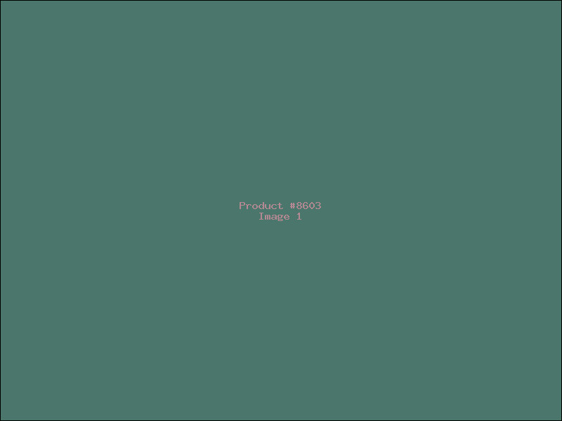 Example Product 8603