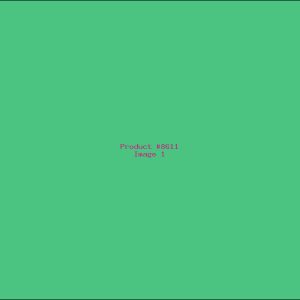 Example Product 8611