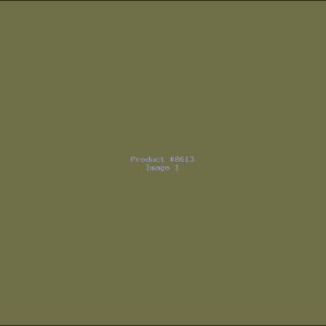 Example Product 8613