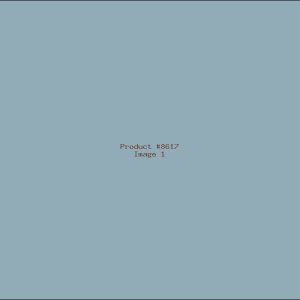 Example Product 8617