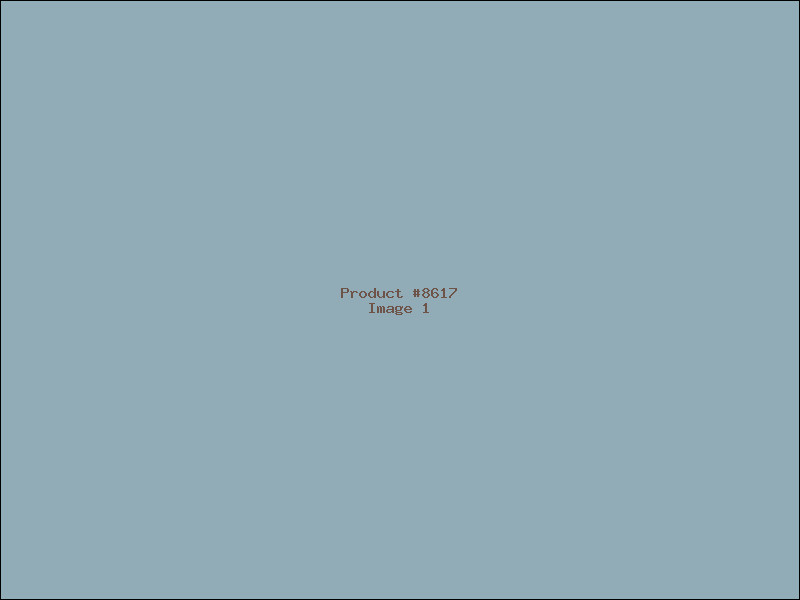 Example Product 8617