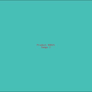 Example Product 8621