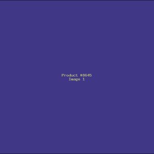 Example Product 8645