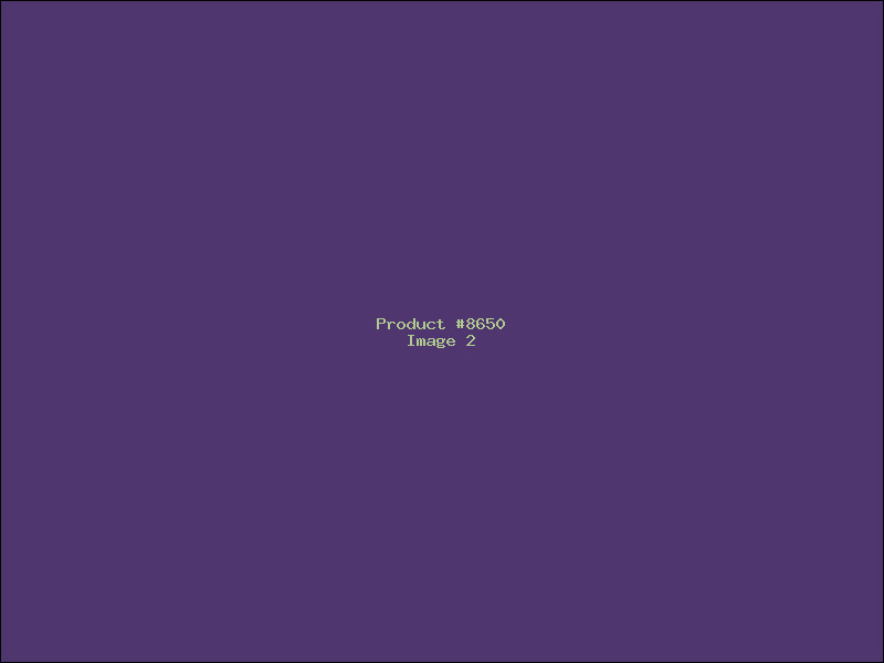 Example Product 8650 - Image 2