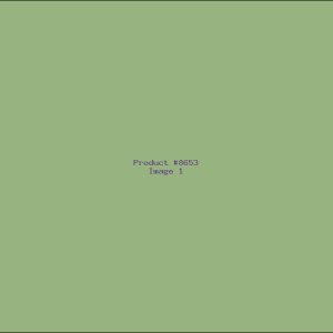 Example Product 8653