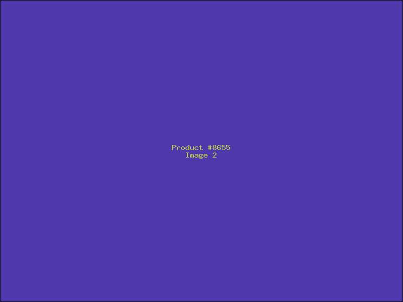 Example Product 8655 - Image 2