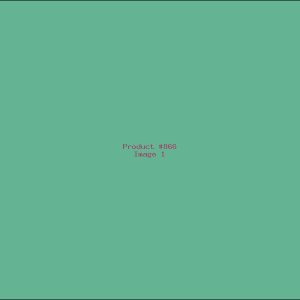 Example Product 866