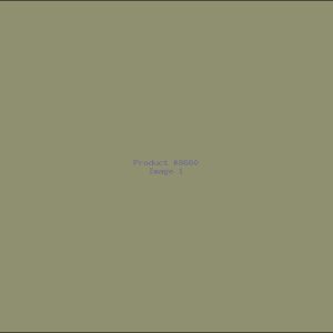 Example Product 8660