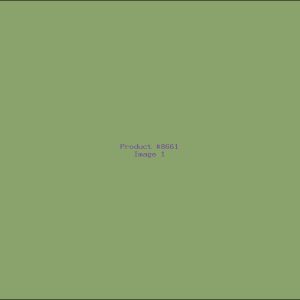 Example Product 8661