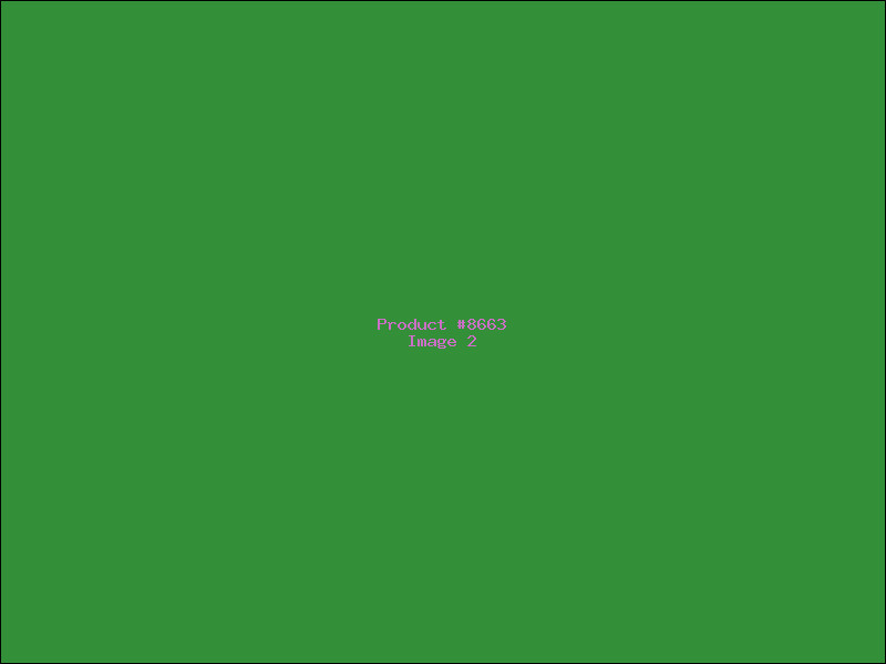 Example Product 8663 - Image 2