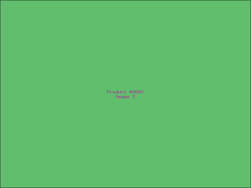Example Product 8665 - Image 2