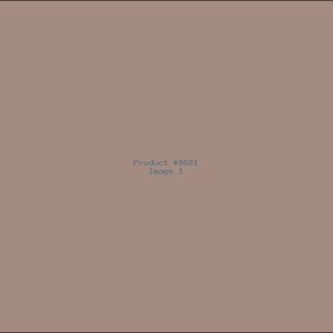 Example Product 8681
