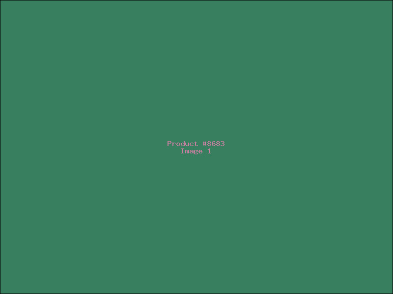 Example Product 8683