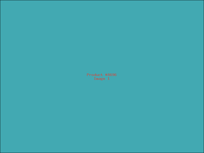Example Product 8696