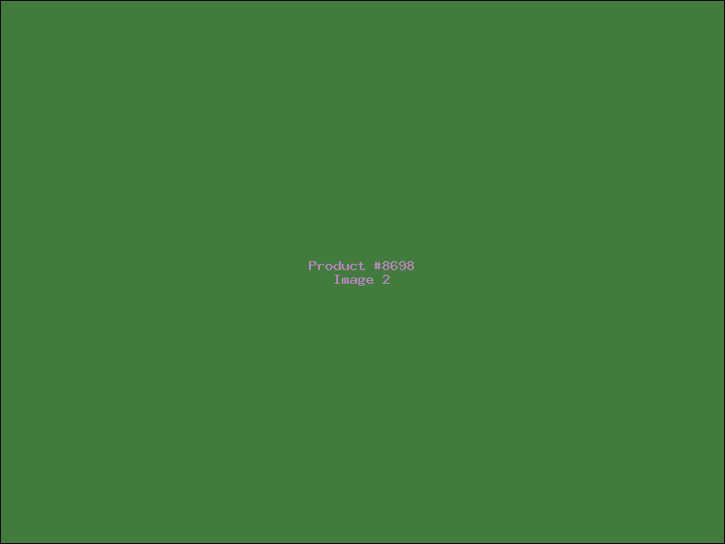Example Product 8698 - Image 2
