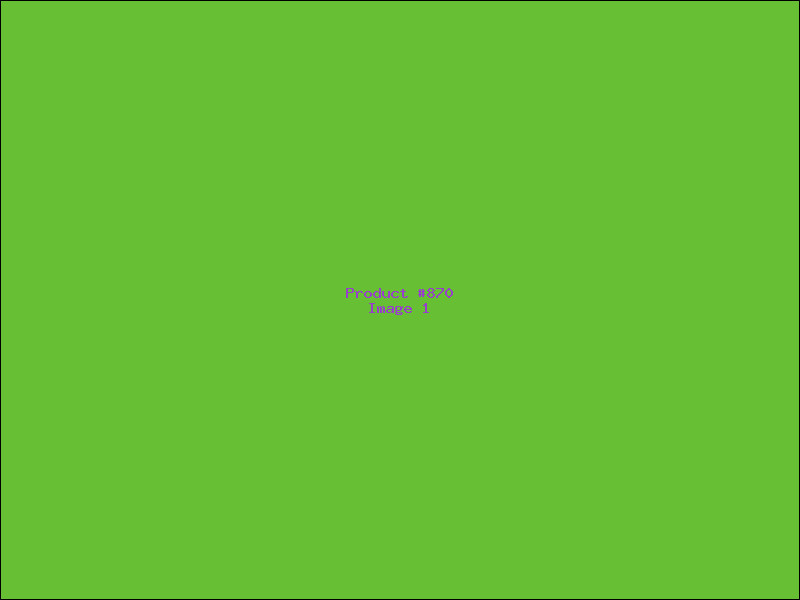Example Product 870