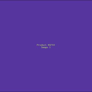 Example Product 8710