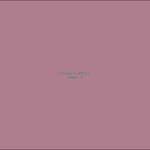 Example Product 8713