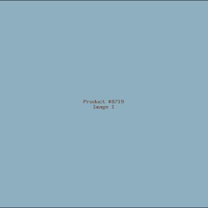 Example Product 8719