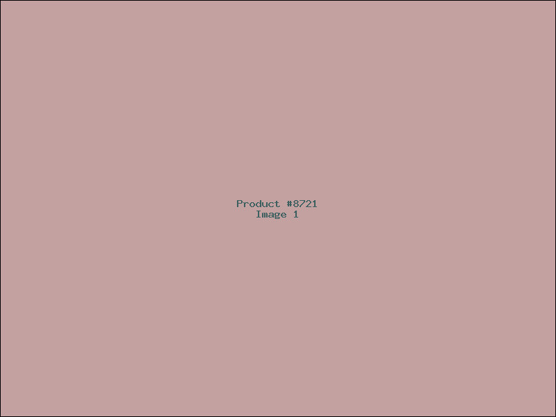 Example Product 8721