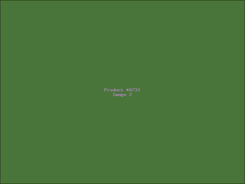 Example Product 8732 - Image 2