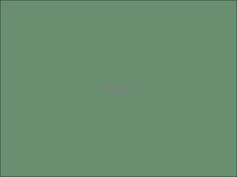 Example Product 8733 - Image 2