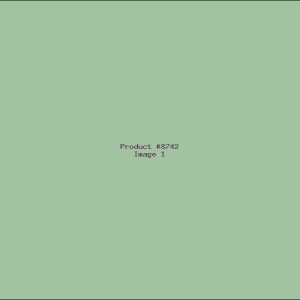 Example Product 8742