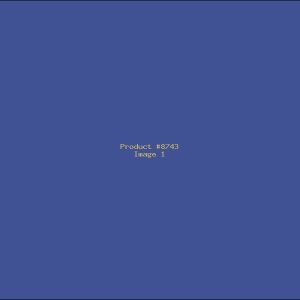 Example Product 8743