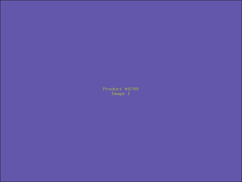 Example Product 8749