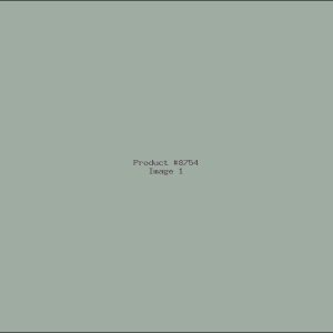 Example Product 8754