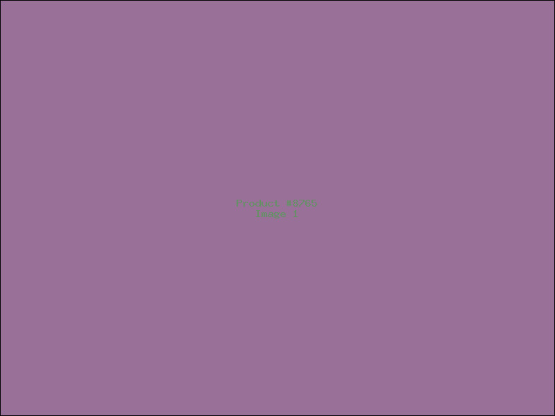 Example Product 8765