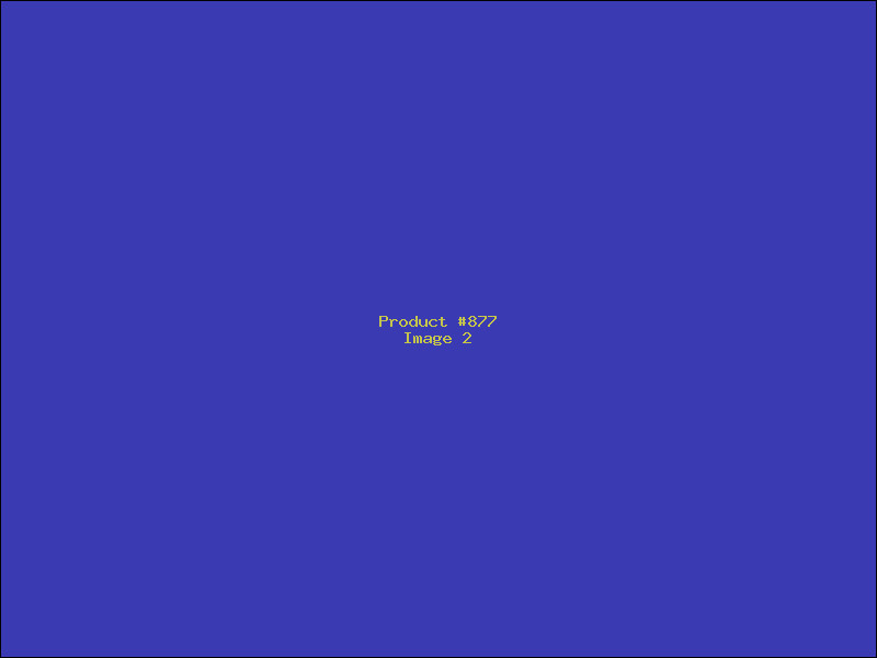 Example Product 877 - Image 2