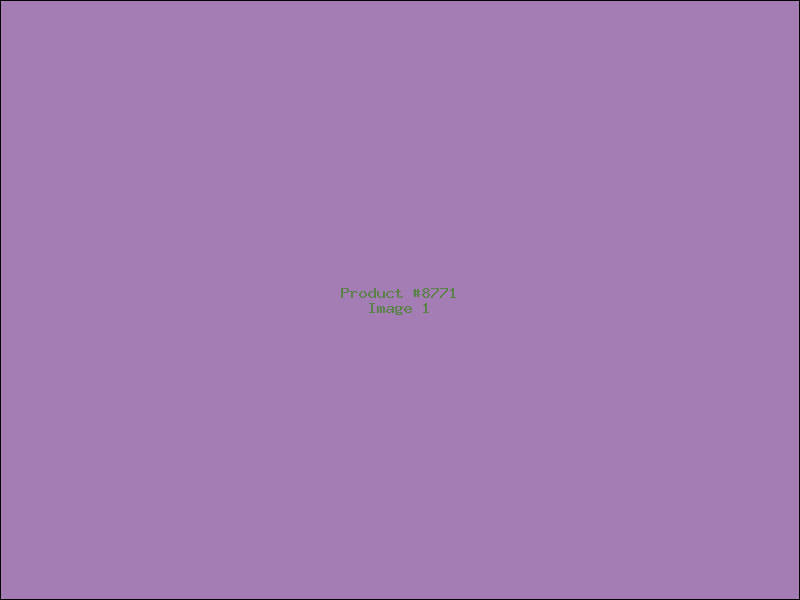 Example Product 8771