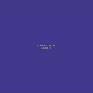 Example Product 8774