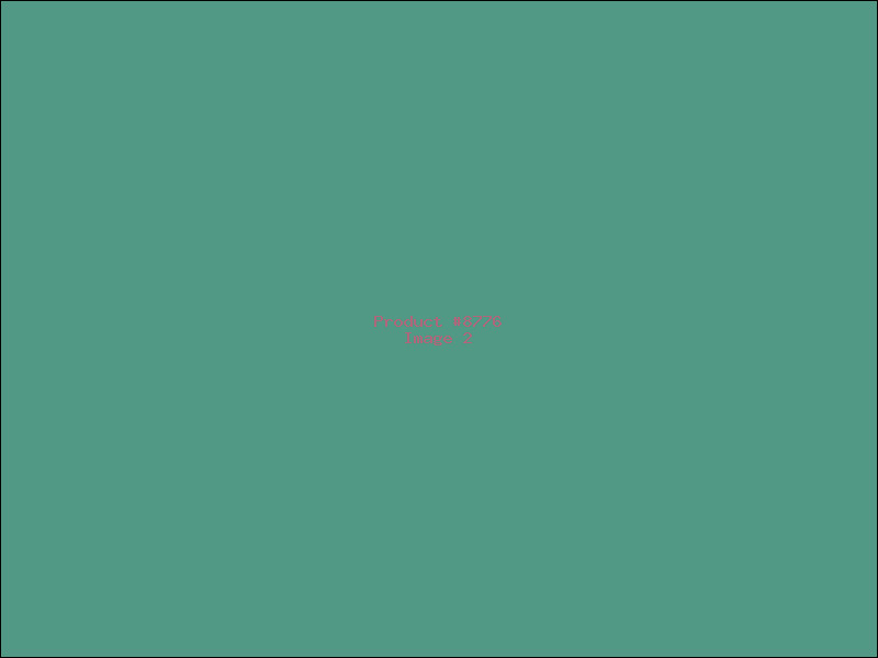 Example Product 8776 - Image 2