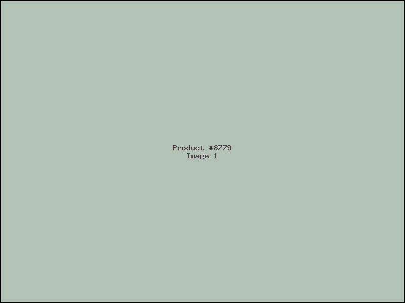Example Product 8779