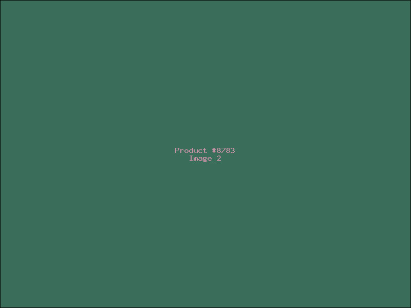 Example Product 8783 - Image 2