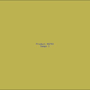 Example Product 8793