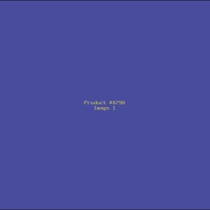 Example Product 8798