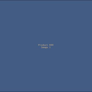 Example Product 88