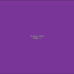 Example Product 880