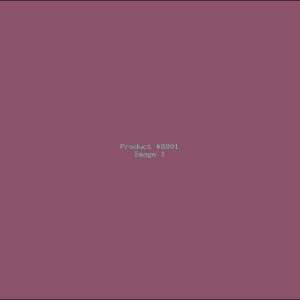 Example Product 8801
