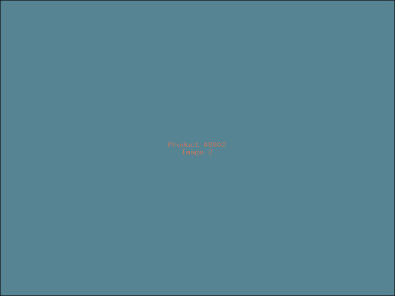 Example Product 8802 - Image 2