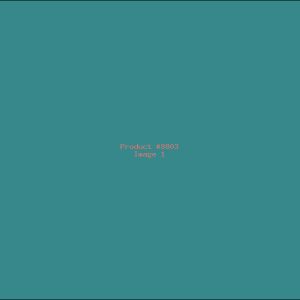 Example Product 8803