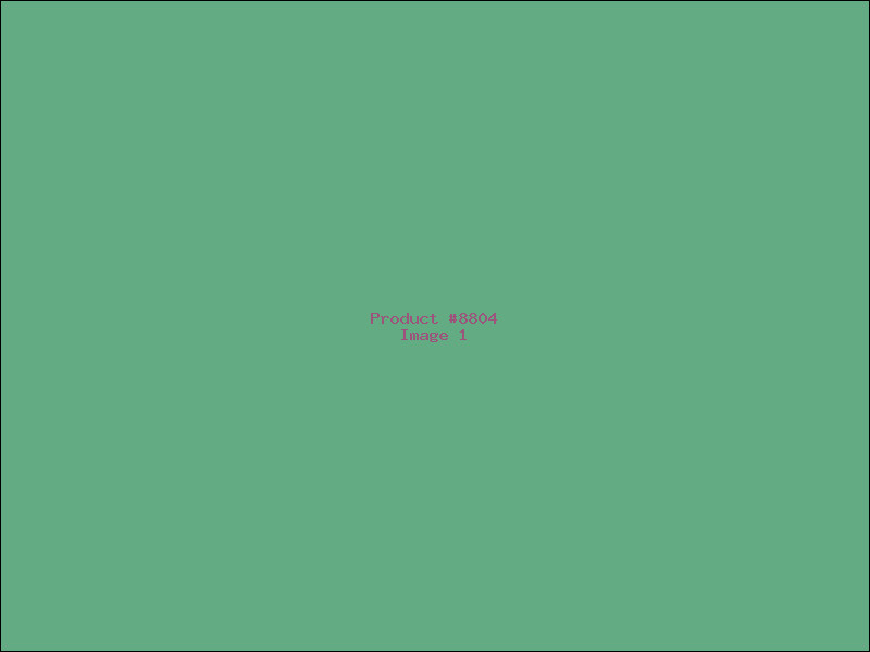 Example Product 8804